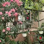 Appartement Marija Povljana