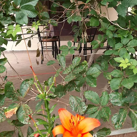 Lejlighed Apartmani Marija