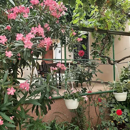 Lejlighed Apartmani Marija Povljana